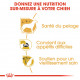 Croquettes pour chien Yorkshire Terrier adulte Royal canin