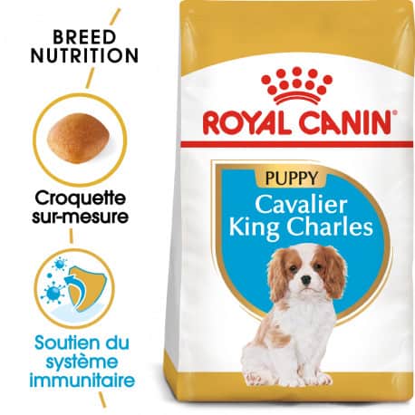 Croquettes pour chien Cavalier King Charles junior Royal Canin - 1,5kg