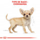 Croquettes pour chien Chihuahua Junior Royal Canin - 1,5Kg