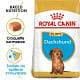 Croquettes pour Teckel chiot Royal canin Dachshund