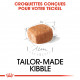 Croquettes pour Teckel chiot Royal canin Dachshund