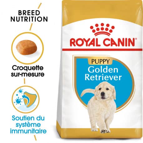 Croquettes pour Golden Retriever junior Royal canin
