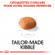 Croquettes pour Golden Retriever junior Royal canin