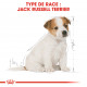 Croquettes pour chien Jack Russel junior Royal Canin