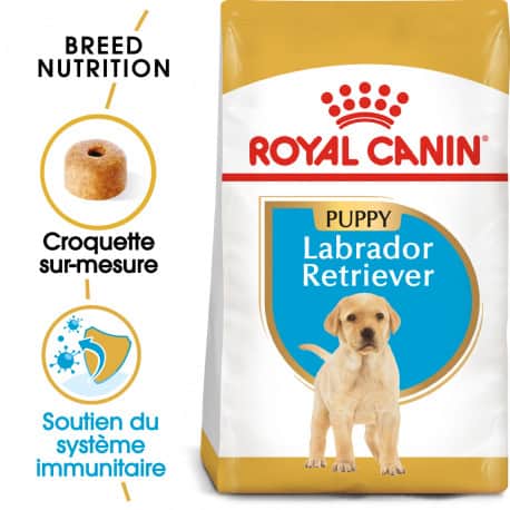 Croquettes pour Labrador Retriever junior Royal canin