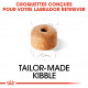 Croquettes pour Labrador Retriever junior Royal canin