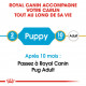 Croquettes pour chien Carlin Junior Royal Canin 1,5Kg