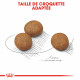 Croquettes pour jeune chien/chiot Royal Canin Maxi Junior