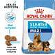 Croquettes pour sevrage chiot Royal Canin Maxi Starter