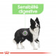Croquettes pour chien spéciale digestion Royal Canin Medium Digestive Care