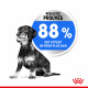 Croquettes light pour petit chien Royal Canin