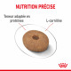 Croquettes light pour petit chien Royal Canin