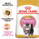 Croquettes pour chaton Persan Royal-Canin Kitten Persian 32