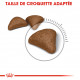 Croquettespour chat anti boules de poils Royal-Canin Intense Hairball 34