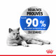 Croquettes pour chat avec embonpoint Royal-Canin Light 40