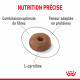 Croquettes pour chat avec embonpoint Royal-Canin Light 40