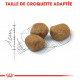 Croquettes pour chat Royal-Canin Fit 32