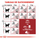 Croquettes pour chat Royal-Canin Fit 32