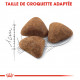 Croquettes pour chat d'intérieur Royal-Canin Indoor 27