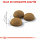 Croquettes pour chat d'intérieur poil à long Royal-Canin Indoor Long Air