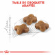 Croquettes pour chaton Royal-Canin Kitten 36