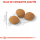 Croquettes pour chat difficile, protéines Royal-Canin Exigent 42