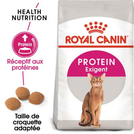Croquettes pour chat difficile, protéines Royal-Canin Exigent 42
