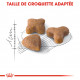 Croquettes pour chat sensible Royal-Canin Sensible 33