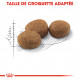 Croquettes pour chat stérilisé Royal-Canin Sterilised 37