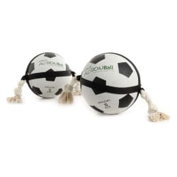 Action ballon Foot 22CM pour chien