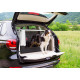 Caisse de transport chien Atlas Car Mini