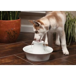 Fontaine Drinkwell Céramique avalon pour chien et chat
