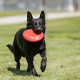 Kong Flyer Classic - Frisbee résistant pour chien