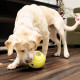 Joeut Kong rewards tennis pour chien