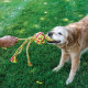 Jouet Kong wubba weaves rope pour chien