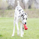 Kong classic Rouge - Jouet pour chien très solide