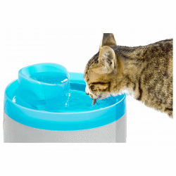 Fontaine à eau 2l pour chat