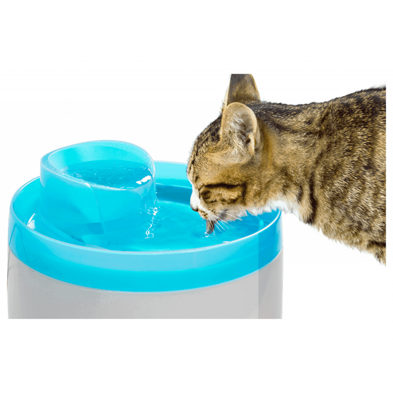 Amazone Fontaine A Eau Pour Chat Amazon Fontaine à Eau Pour Chat - Communauté MCMS