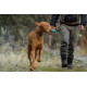 Collier Hoopie Ruffwear pour chien