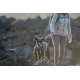 Laisse Front Range Ruffwear pour chien