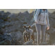 Laisse Front Range Ruffwear pour chien