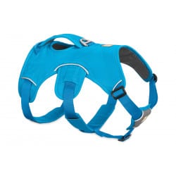 Harnais web master Ruffwear pour chien