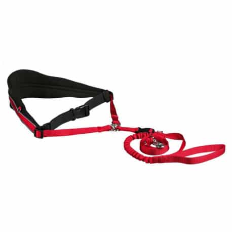 Ceinture ventrale rouge