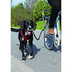 Biker set, Attache vélo pour chien