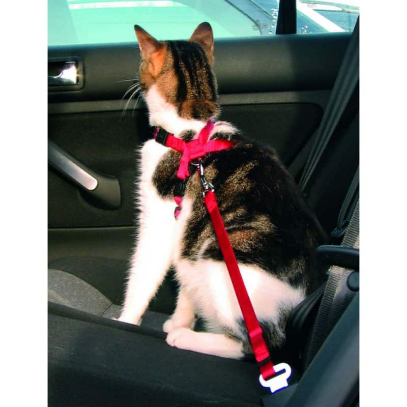 Ceinture de sécurité pour chien chat laisse voiture rouge