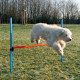 Obstacle agility - Haie agility pour chien