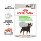 Sachets humides Royal Canin Digestive Care 12 x 85 Gr