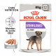 Sachets humides Royal Canin Sterilised Chien 12 x 85 Gr