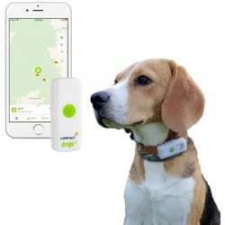 GPS Weenect pour chien