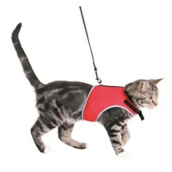 Harnais réglable rouge pour chat